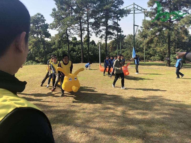 毛毛虫大战