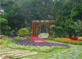 情侣园拓展基地